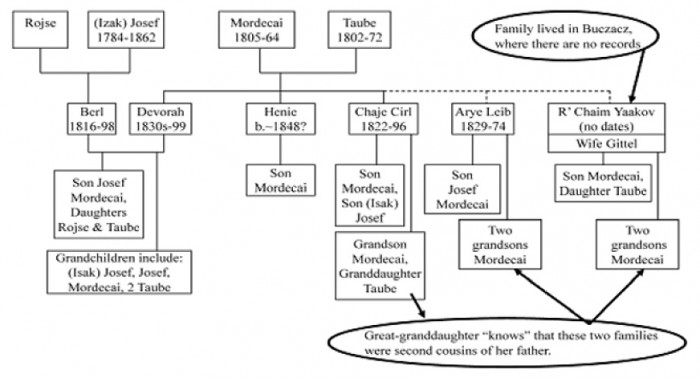 The G - Volume 17 Issue 3 - Family Tree